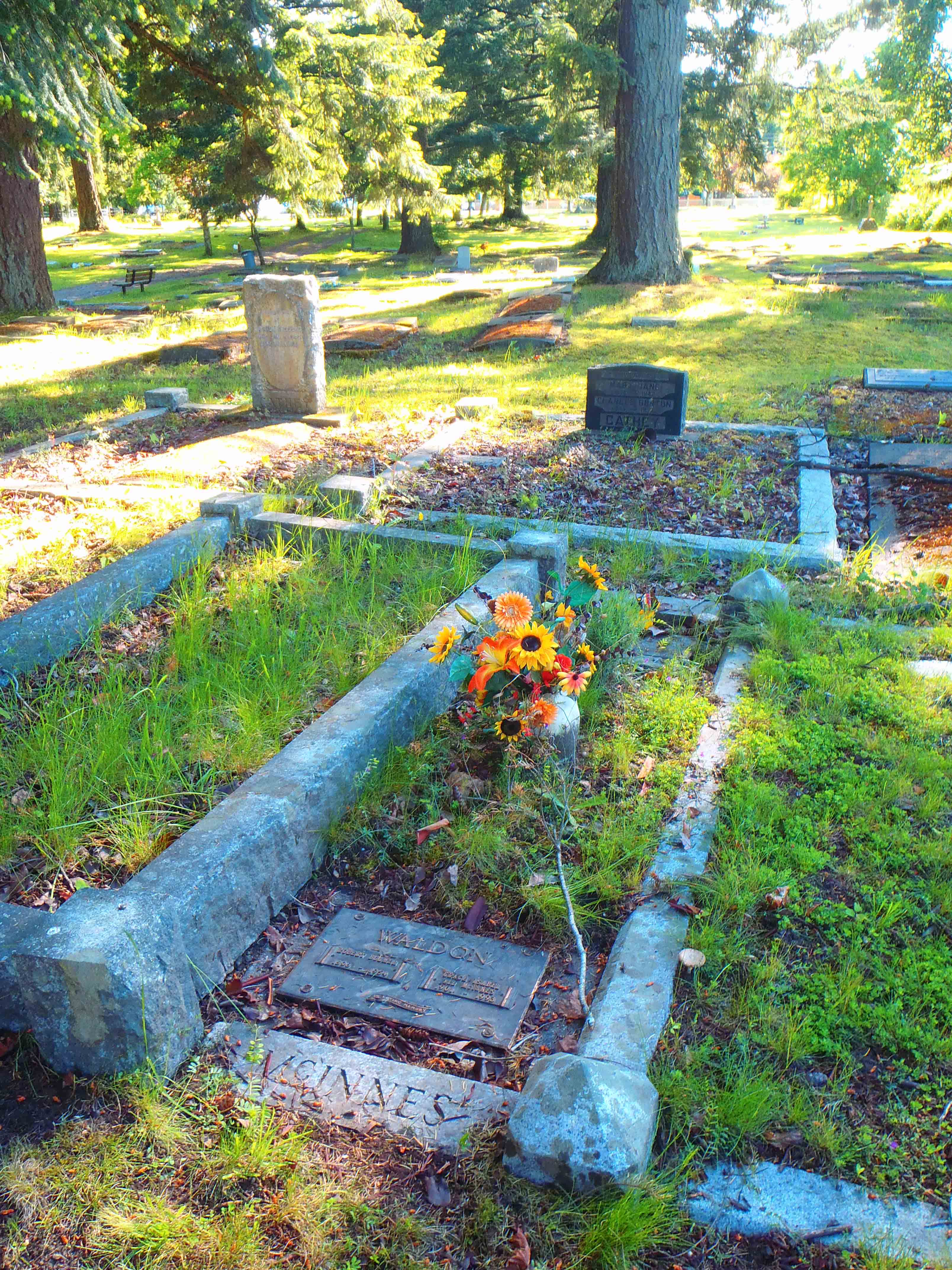 Robert Bulmer Waldon grave